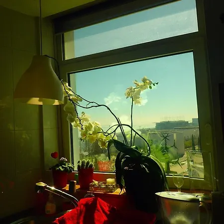 里克斯河滨套房公寓 *