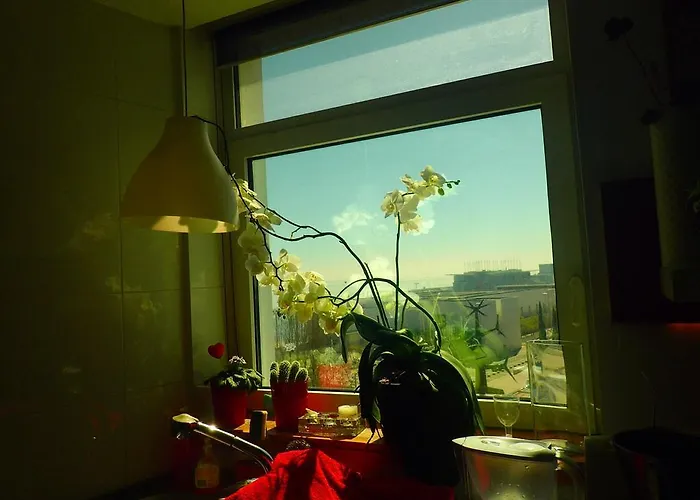 里克斯河滨套房公寓 *